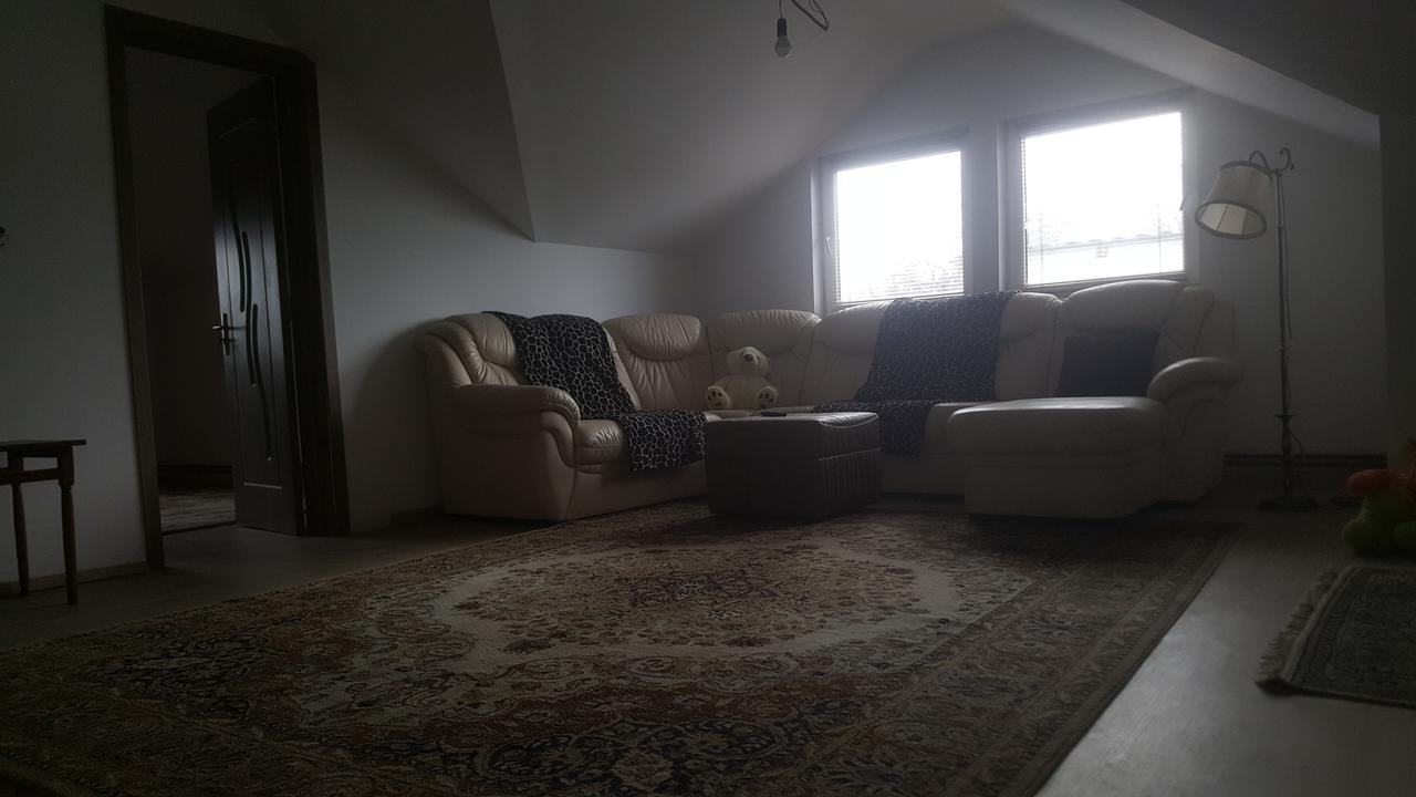 ホテルCasa Mirela トゥルダ エクステリア 写真