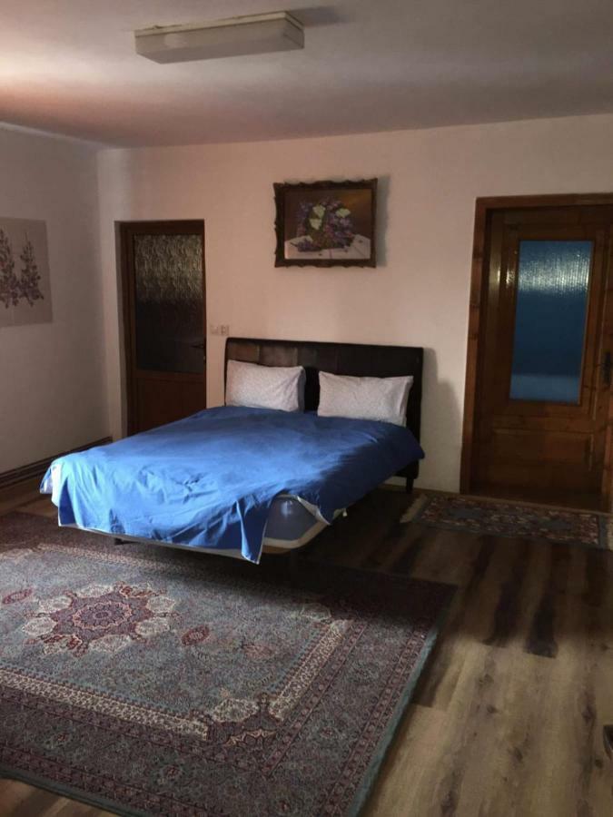 ホテルCasa Mirela トゥルダ エクステリア 写真